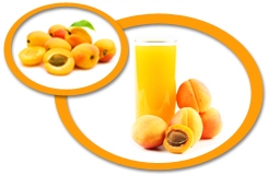 apricot juice concentrate