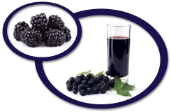 blackberry juice concentrate