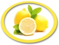concentrated lemon juice suppliers usa
